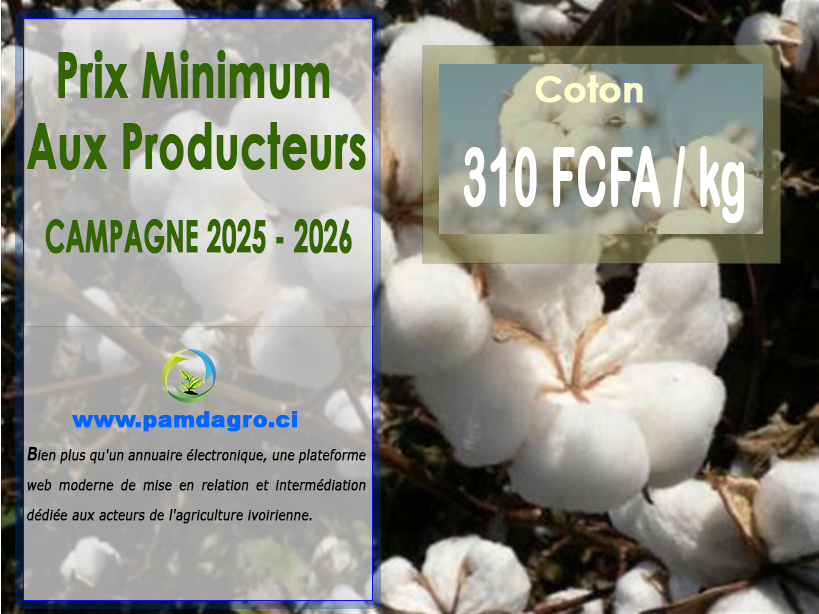 Prix coton campagne 2025-2026