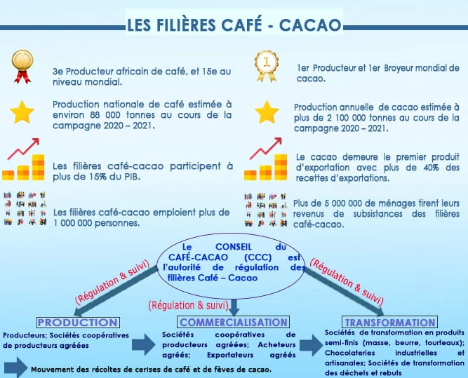 Organisation des filières Café Cacao en Côte d'Ivoire