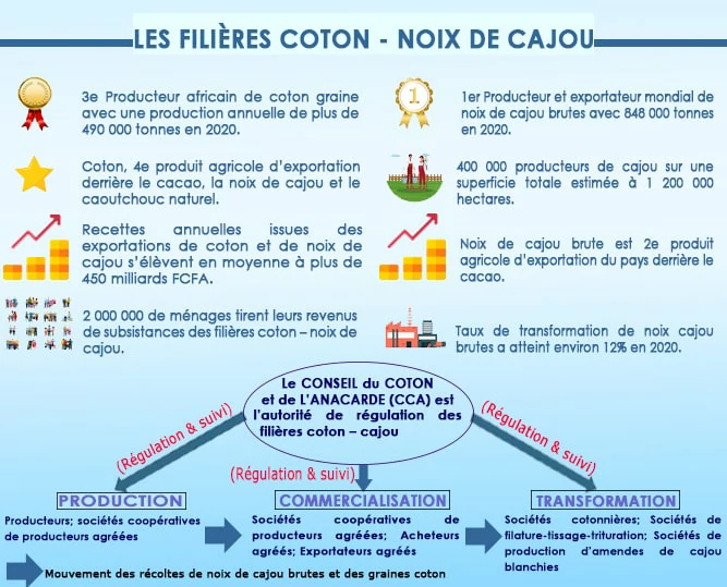 Organisation des filières Coton Anacarde en Côte d'Ivoire