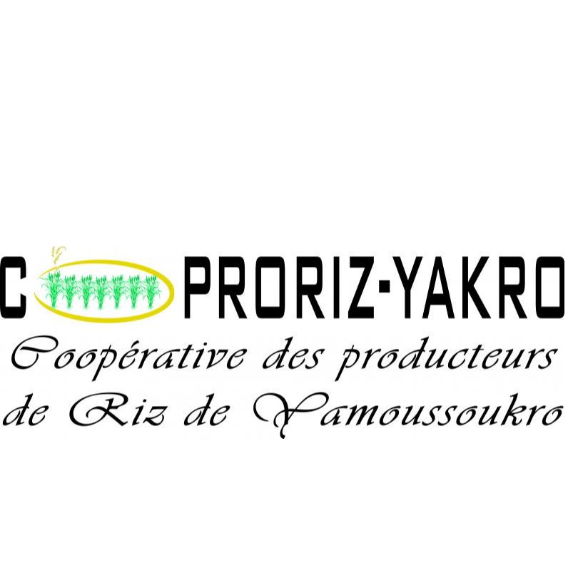 Société Coopérative des Producteurs de Riz de Yamoussoukro