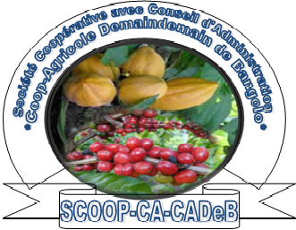 Société coopérative avec conseil d'administration coopérative agricole demaindemain de bangolo