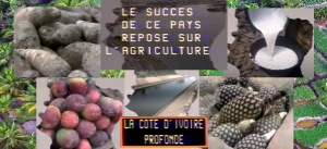 Des solutions aux problèmes sociaux dans l’agriculture ivoirienne