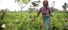 Introduction à la série d’articles sur le genre, les minorités et les problèmes sociaux dans l’Agriculture ivoirienne